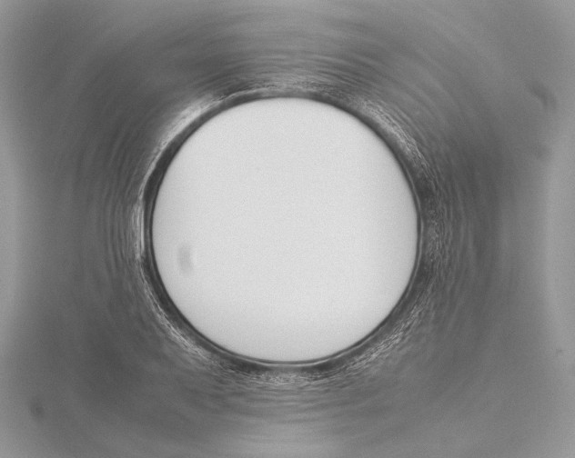 X0000115781079200912041446