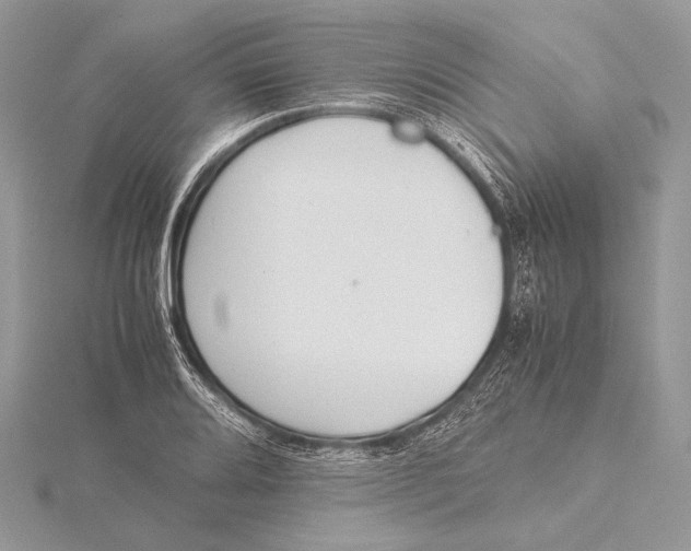 X0000115781080200912041446