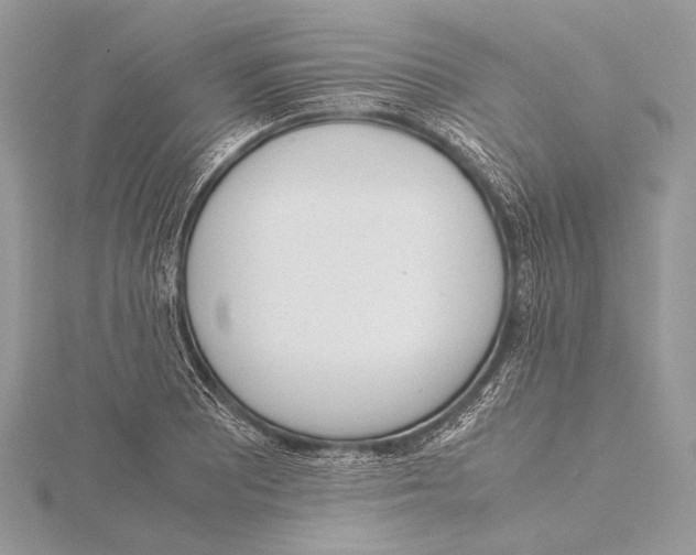 X0000115781081200912041446