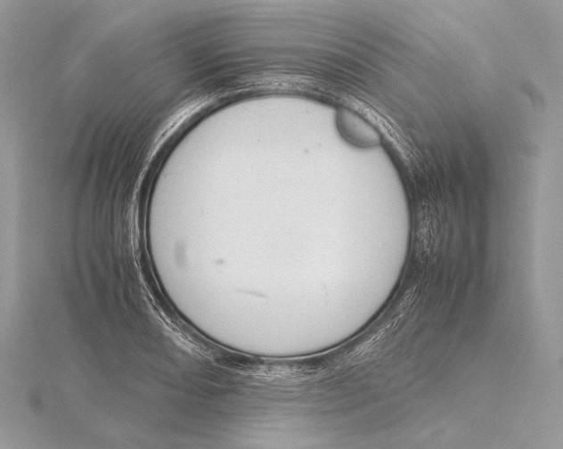 X0000115781082200912041446