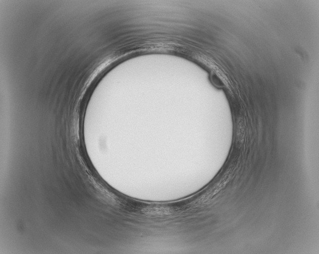 X0000115781083200912041446