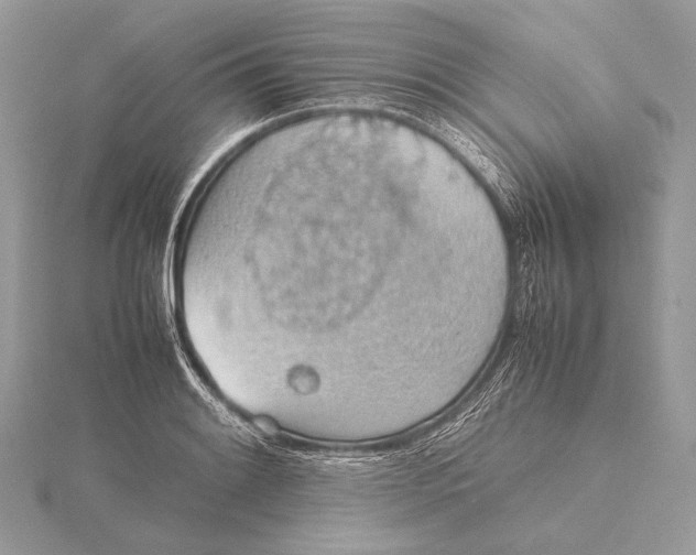 X0000115781084200912041446