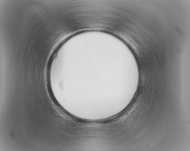 X0000115781085200912041446