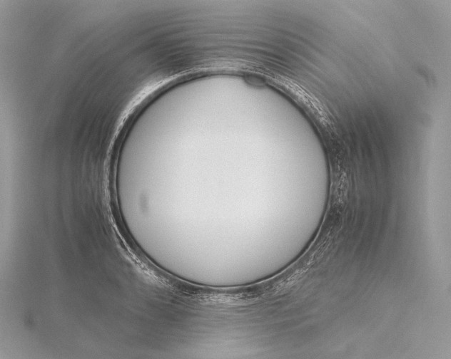 X0000115781086200912041446