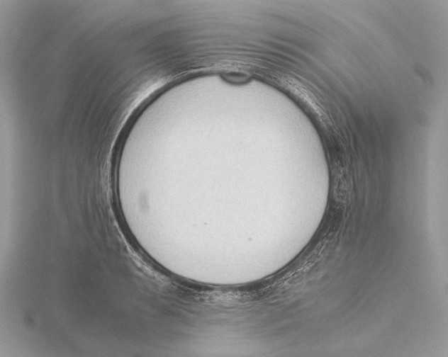 X0000115781087200912041446