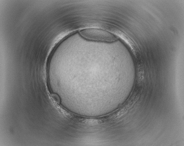 X0000115781088200912041446