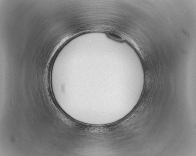 X0000115781091200912041446