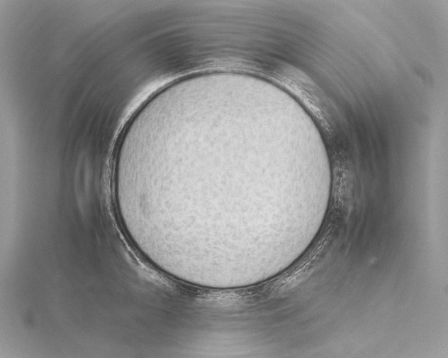 X0000115781094200912041446