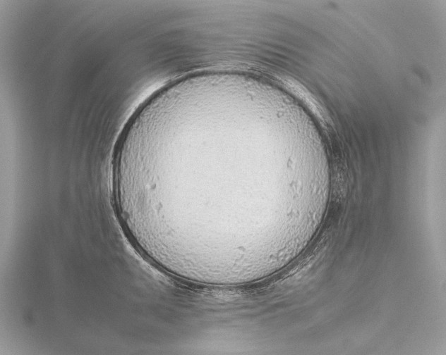 X0000115781095200912041446