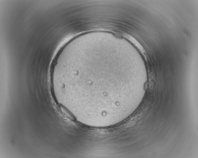 X0000115781096200912041446