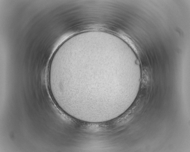 X0000115781098200912041446