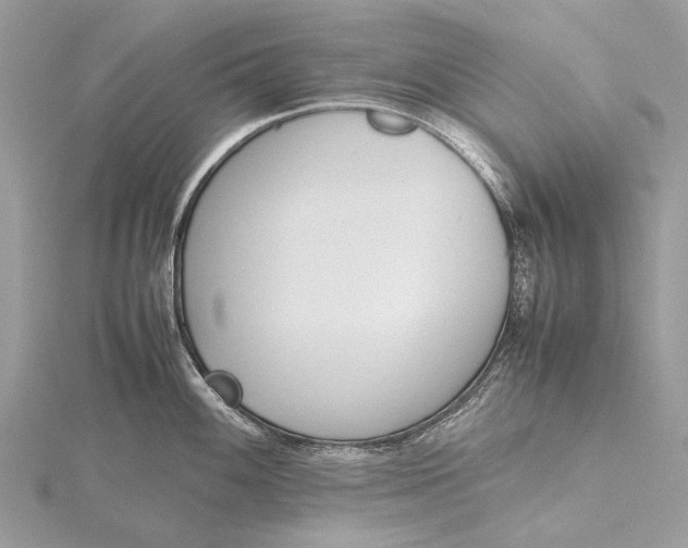 X0000115781100200912041446