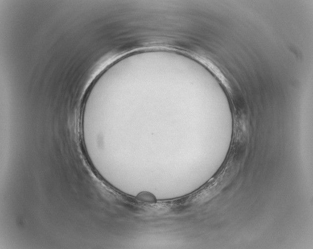 X0000115781101200912041446