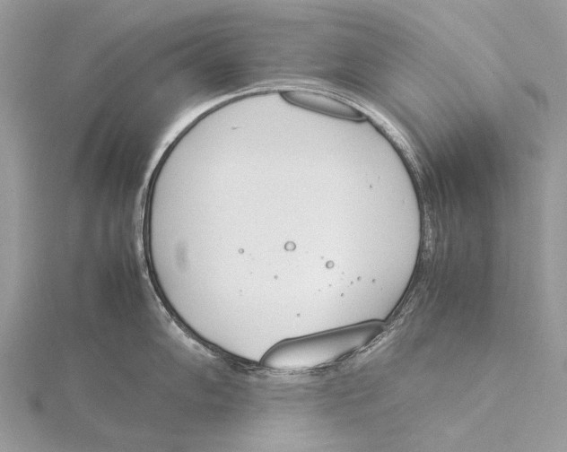 X0000115781102200912041446