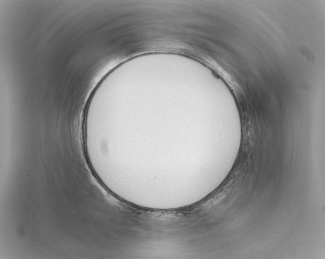 X0000115781103200912041446