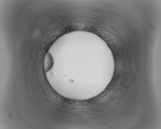 X0000115781105200912041446