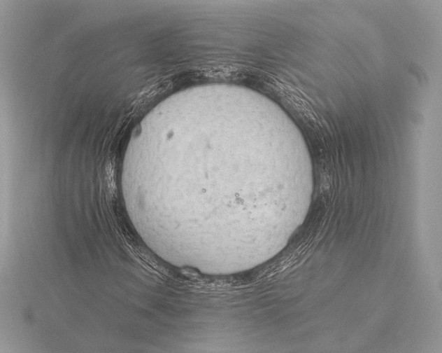 X0000115781106200912041446