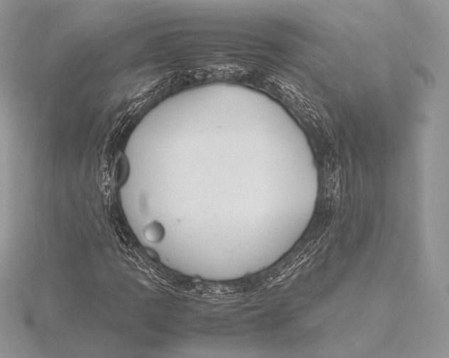 X0000115781109200912041446