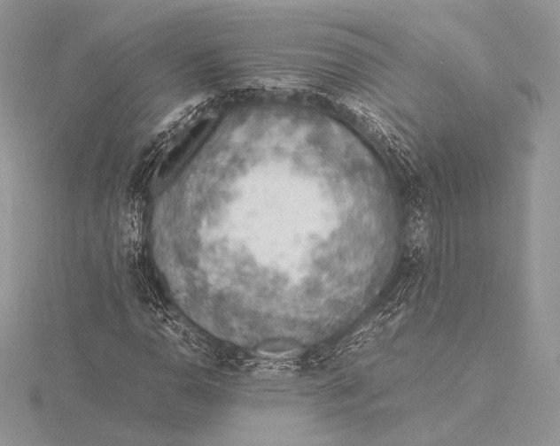 X0000115781110200912041446