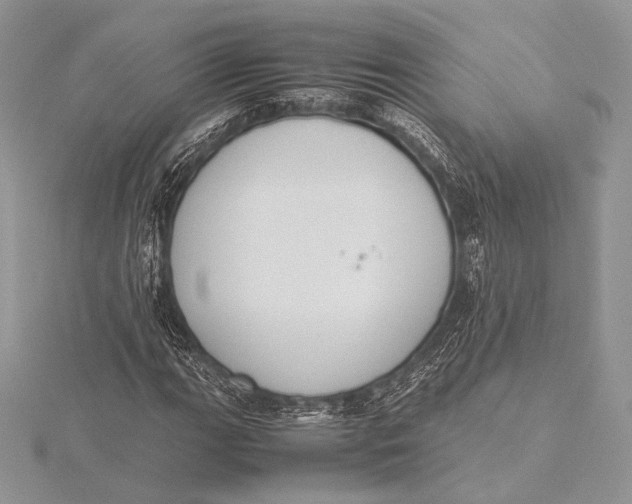 X0000115781111200912041446