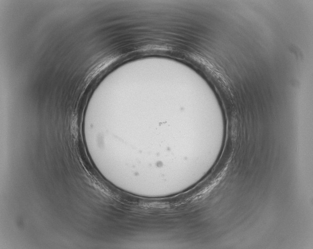 X0000115781113200912041446