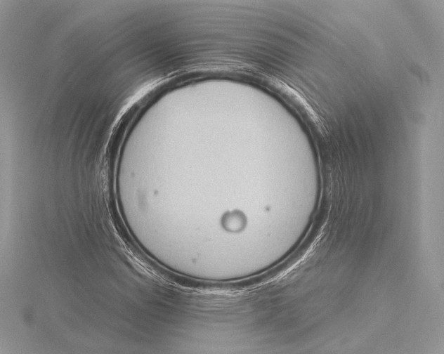 X0000115781114200912041446