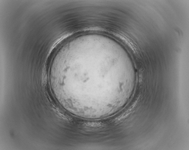 X0000115781117200912041446