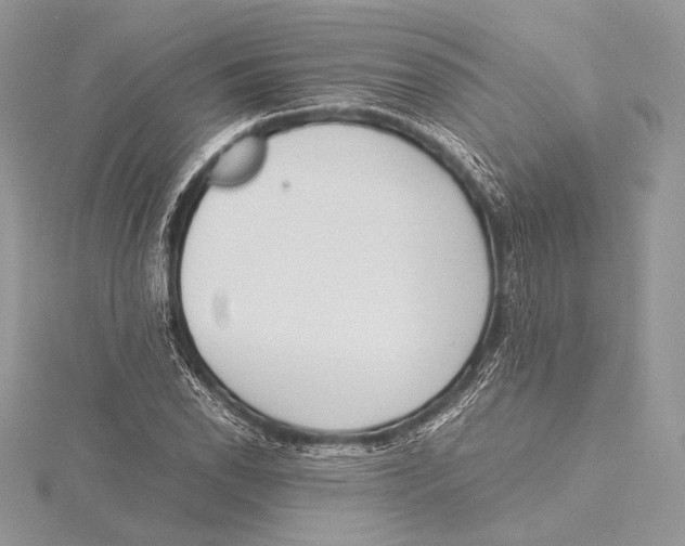 X0000115781118200912041446