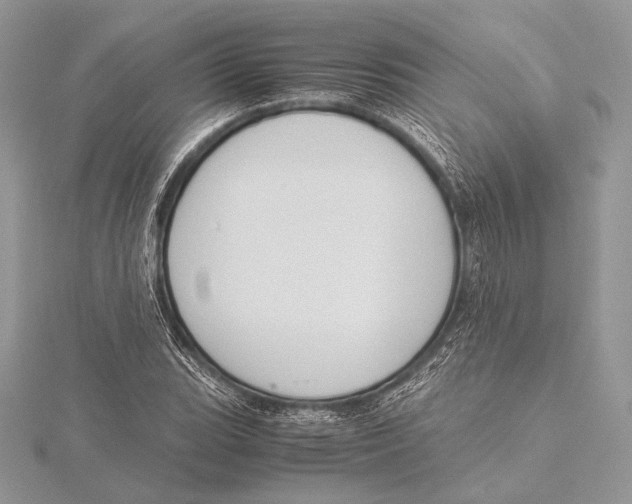 X0000115781119200912041446