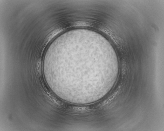 X0000115781121200912041446