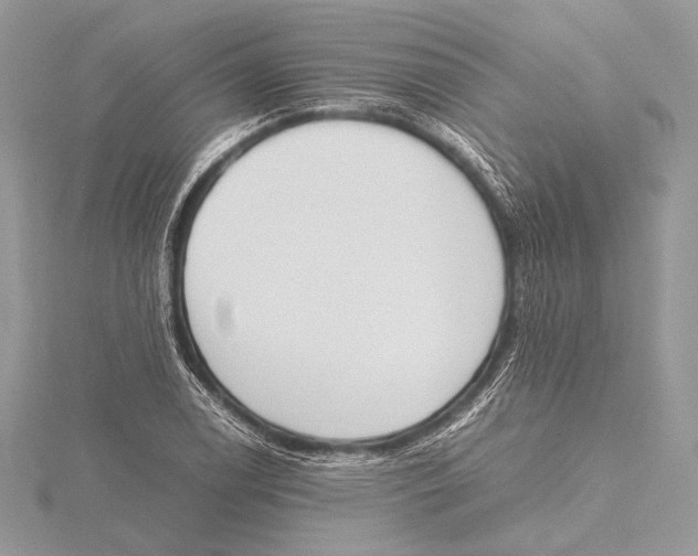 X0000115781122200912041446