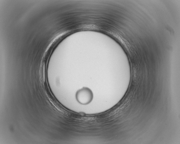 X0000115781123200912041446