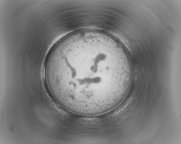 X0000115781125200912041446