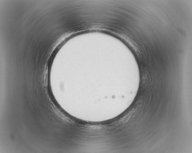 X0000115781126200912041446