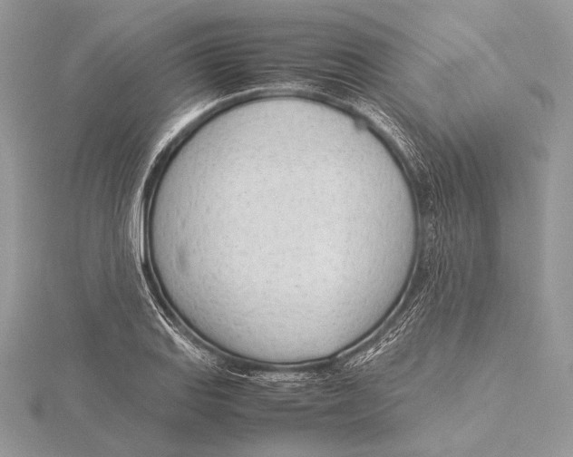 X0000115781127200912041446