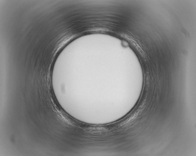 X0000115781129200912041446