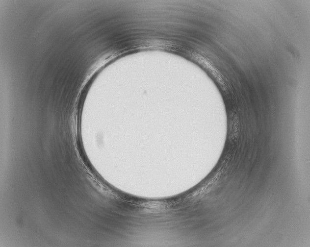 X0000115781130200912041446