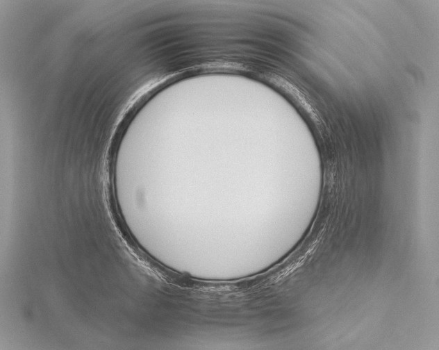 X0000115781133200912041446