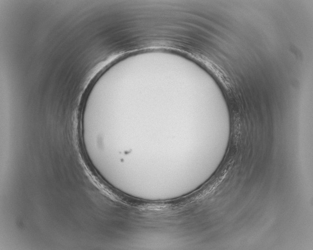 X0000115781134200912041446