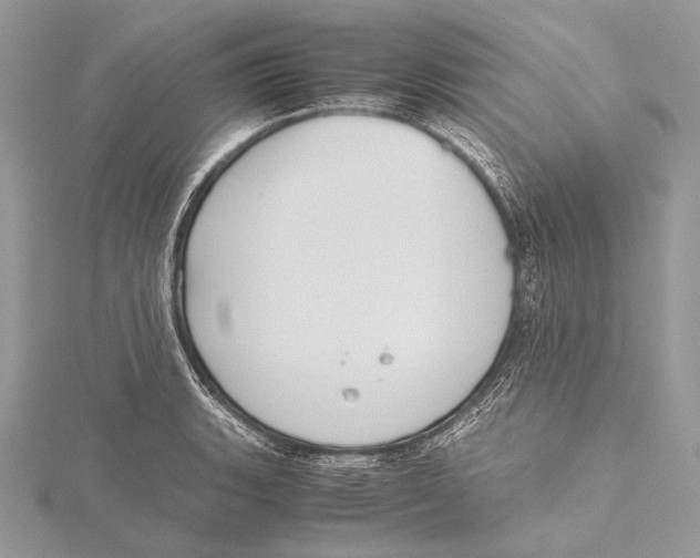 X0000115781135200912041446