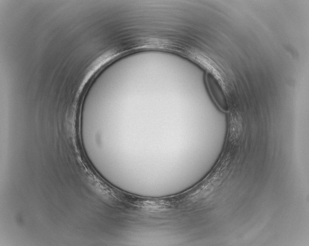 X0000115781138200912041446