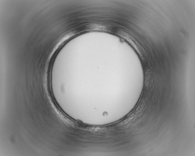 X0000115781139200912041446