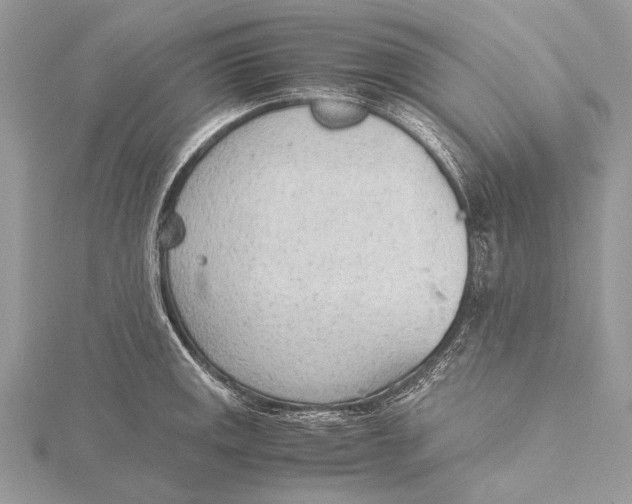 X0000115781141200912041446