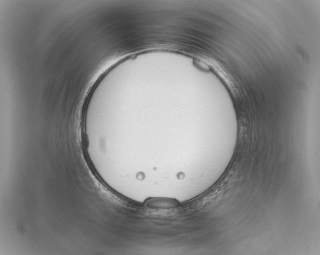 X0000115781143200912041446