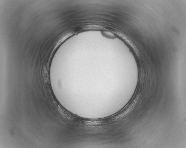 X0000115781145200912041446