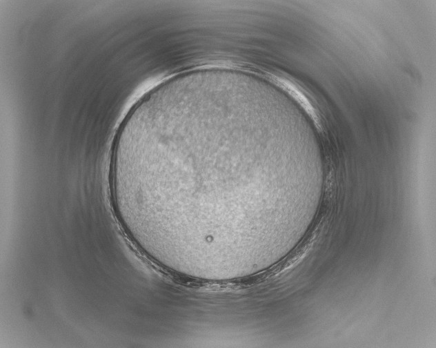 X0000115781146200912041446