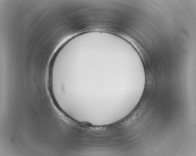 X0000115781147200912041446