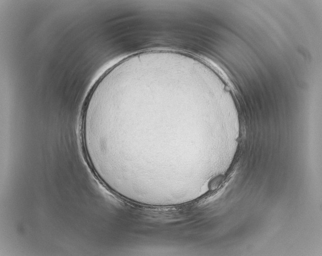 X0000115781149200912041446