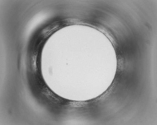 X0000115781150200912041446