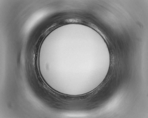 X0000115781151200912041446